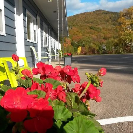 Cornerstone Motel Chéticamp Екстериор снимка