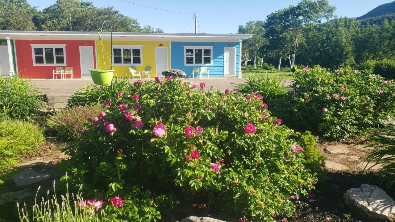 Cornerstone Motel Chéticamp Екстериор снимка